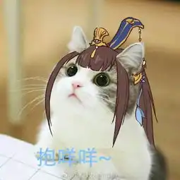 剑网三要抱抱表情包这些猫长得好萝莉
