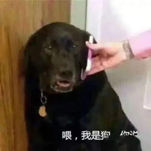 沙雕表情聊天吗一小时十块钱
