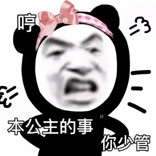 表情包她是个小笨蛋还是我的宝
