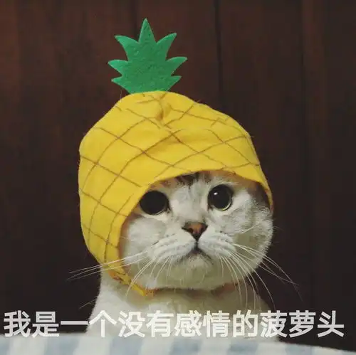 贱萌头像有些什么
