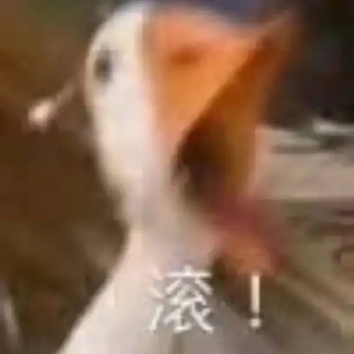 12.23和我一起当个垃圾吧丨抖音热门图
