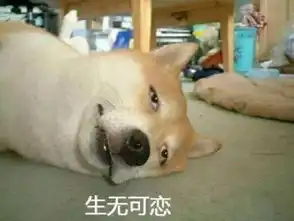 求这个柴犬表情包的原图不要有p上去的眼睛嘴巴文字什么
