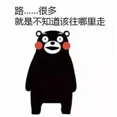 会高数或者统计软件,换英语
