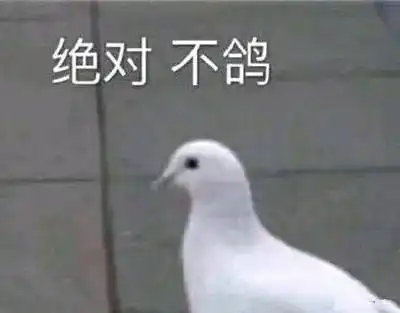 2020.冬季1012月新品分享

