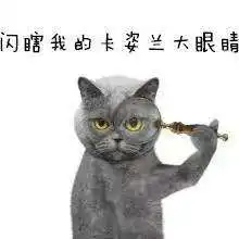 抖音蓝猫竖拇指点赞表情包全套gif一览