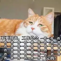10个橘猫9个胖还有1个特别壮
