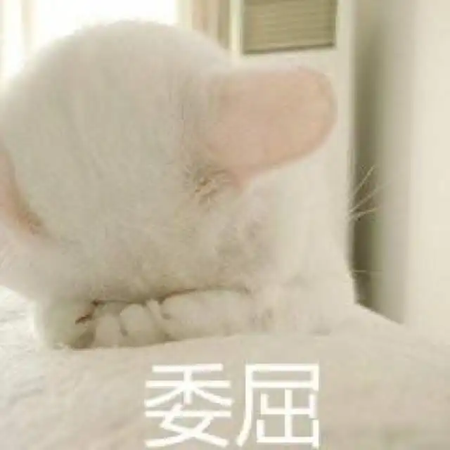 有只猛虫嗨闹全国,快来看看你的城市和学校上榜没
