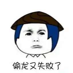 王昭君又没冻住人表情包
