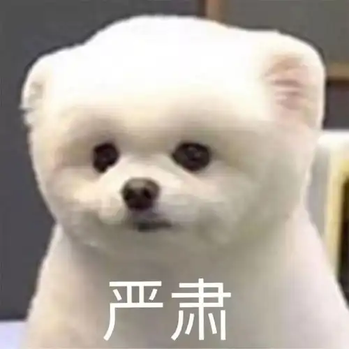 为什么抖音上看不到穷人
