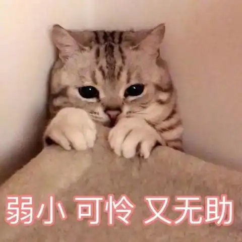 笑话五条现在只要谁拿根牛毛来我就跟他走
