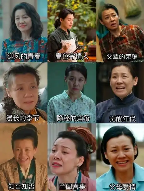 赵丽颖拿下飞天视后,85花格局会变吗
