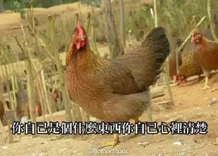 奔跑表情包
