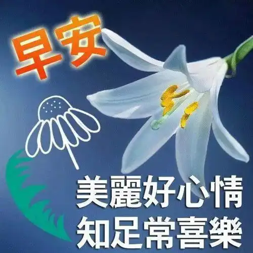 2021牛年很好看早安祝福图片带字每天问候朋友的早上好祝福暖心话语
