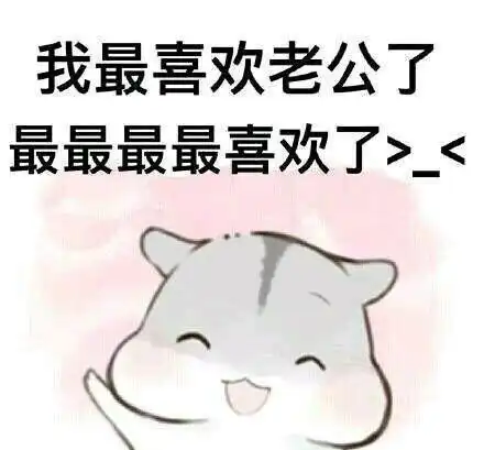 十条段子猪要松绑了
