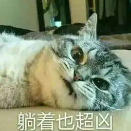 有了这个表情包,感觉征服了全世界

