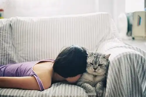 我不认识你,但就是喜欢你

