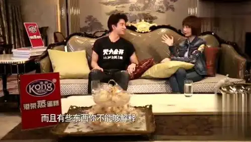 鲁豫说王力宏太过完美,又说不是夸人,王力宏一脸懒得理你的表情啊
