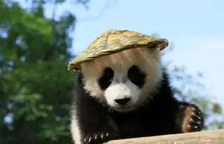 大熊猫宝宝戴草帽背竹篓,像极了功夫熊猫的主角阿宝
