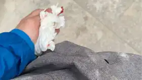 当你拿小七班打段位赛会发生什么摸头表情真的很烦人
