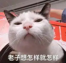 四次进面三次失败,我找到了面试的四条真理
