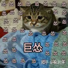 有没有大眼睛猫咪的表情包呀