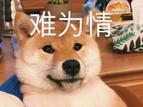 狗头人表情包动图陈体