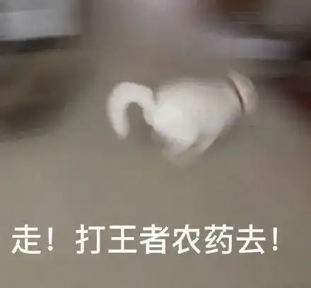 倒计时11个月,2022考研er已经不想学习了