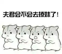 求小仓鼠表情包,最好是对男票专用的oo
