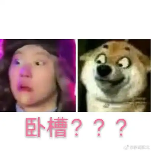 佛系青年窦靖童,军大衣雷锋帽活成了表情包
