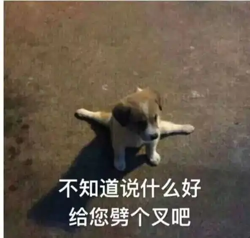 最受女生欢迎的男生类型
