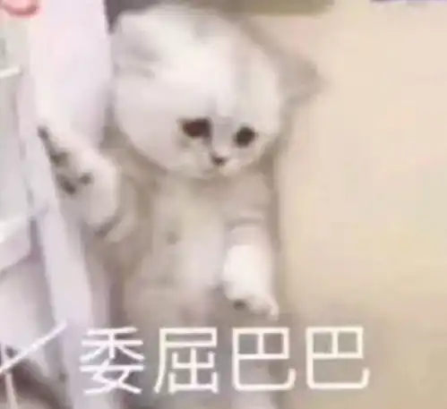 最高温升至两位数雾霾明天继续
