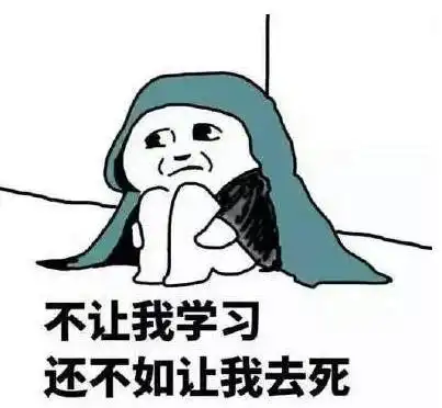 87000的毛线球也无法限制商科学生的想象
