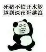 不许动乖乖交出你的钱包
