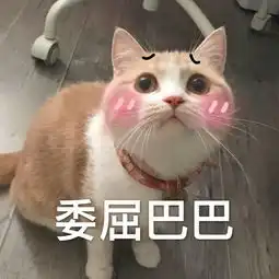 一组可爱的猫咪表情包点赞自取帮找表情包原图
