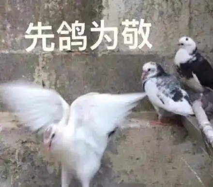 xx座,你又鸽了
