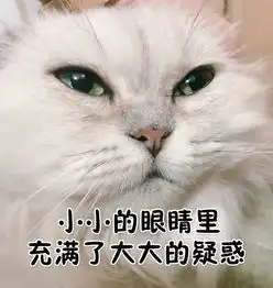 全新猫咪斗图表情包来啦