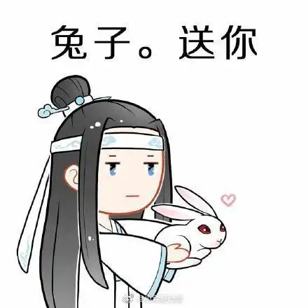 蓝忘机蓝朋友你的,天子笑送你,兔子送你,你是我的网易订阅
