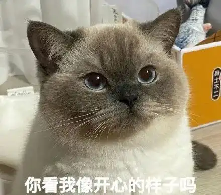 表情包煤老板暹罗猫系列
