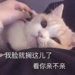 每日表情丨眉有感情
