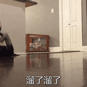 赌一个,靠吃火锅医感冒的四川人绝对不止我一个

