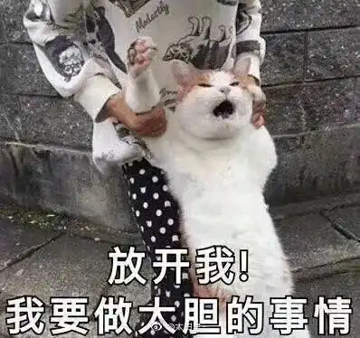 时尚风水轮流转,它它它这些单品它们又都回来了