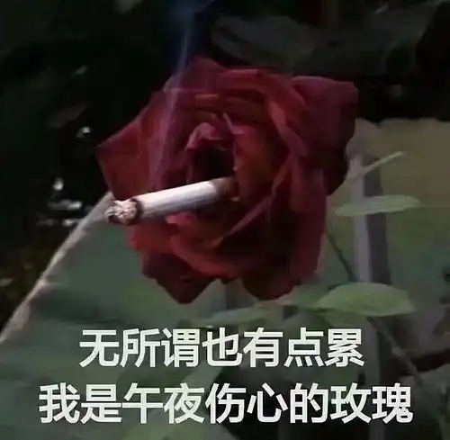 这是否有点
