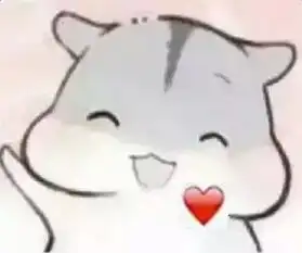 我的收藏夹
