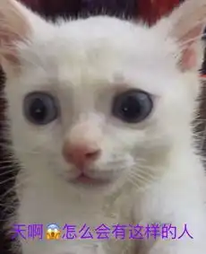 表情sir你只配看本学霸的背影
