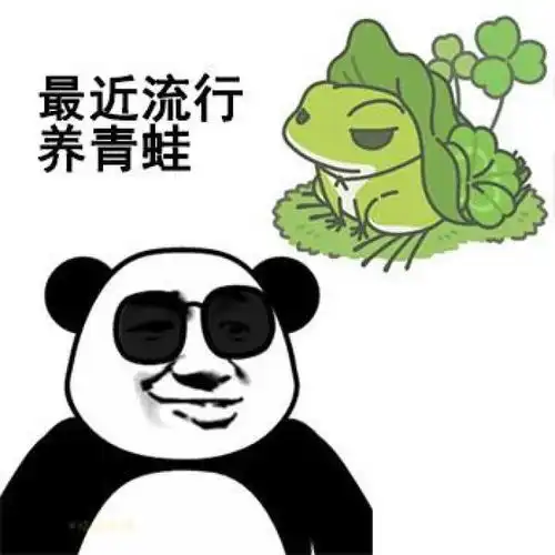搞笑幽默亲爱的别再养青蛙了,养我可爱的熊猫头吧

