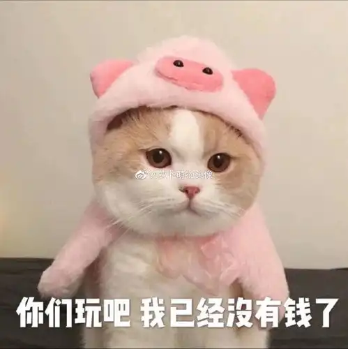 为了表情包收藏的回答
