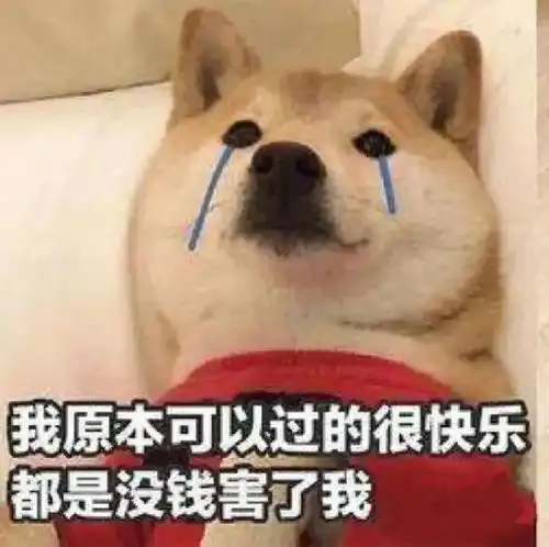 恋爱的穷逼最怕过节失恋王飞爱情单身谈恋爱网易订阅

