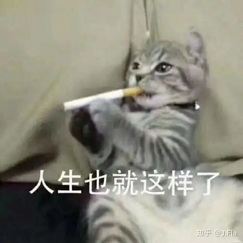 13岁的小女孩,该怎么处理她热爱动漫这件事
