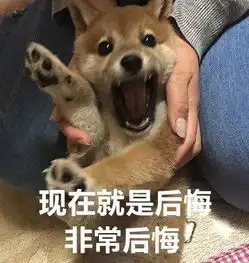 有的人虽然双11破产了,但依旧是表情包大户
