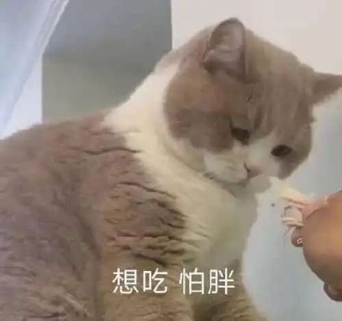 啪秘丨今年有没有人问过你过得好不好
